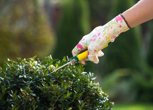 Gardener in Dulwich preparing tools by a terraced front garden