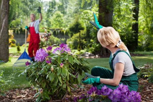 Lush garden designed by Gardening Dulwich