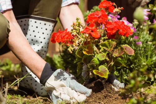 Close-up of tidy garden beds after professional maintenance