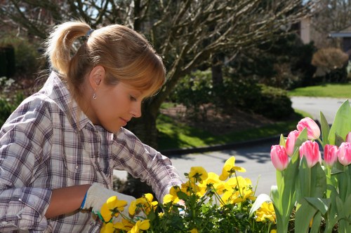 Dulwich garden design with diverse plant selections and functional spaces